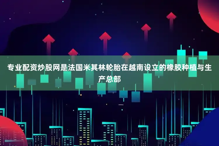 专业配资炒股网是法国米其林轮胎在越南设立的橡胶种植与生产总部