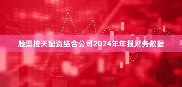 股票按天配资结合公司2024年年报财务数据