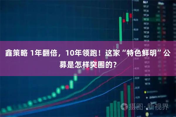 鑫策略 1年翻倍，10年领跑！这家“特色鲜明”公募是怎样突围的？