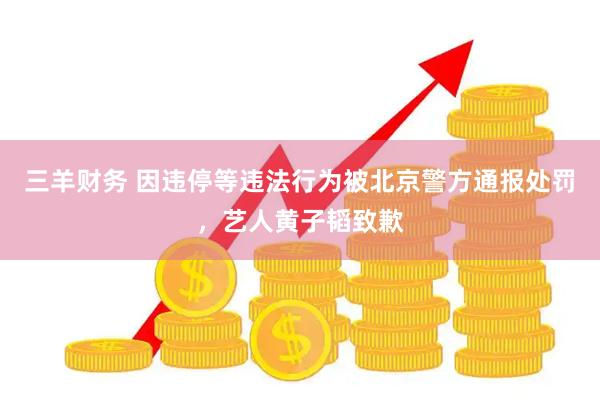 三羊财务 因违停等违法行为被北京警方通报处罚，艺人黄子韬致歉