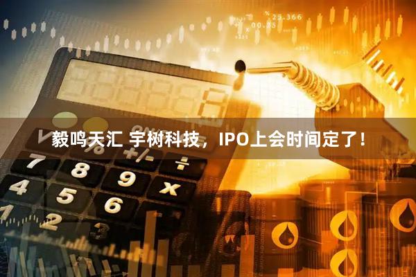毅鸣天汇 宇树科技，IPO上会时间定了！
